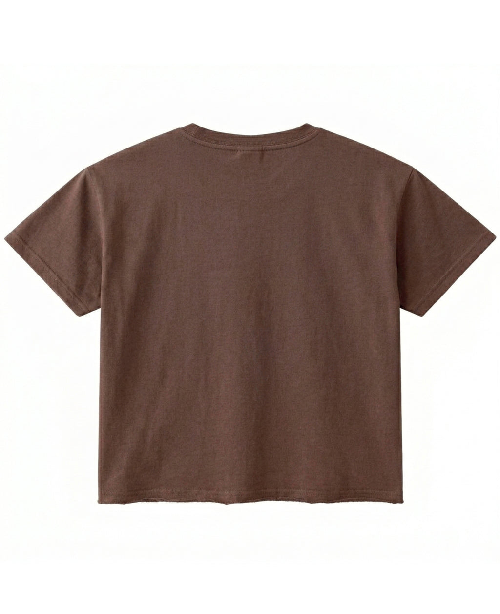 Brown Boxy Tshirt